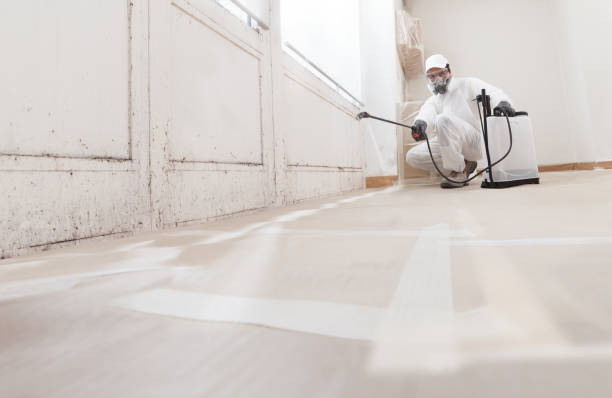 Black mold remediation team in Friendsville